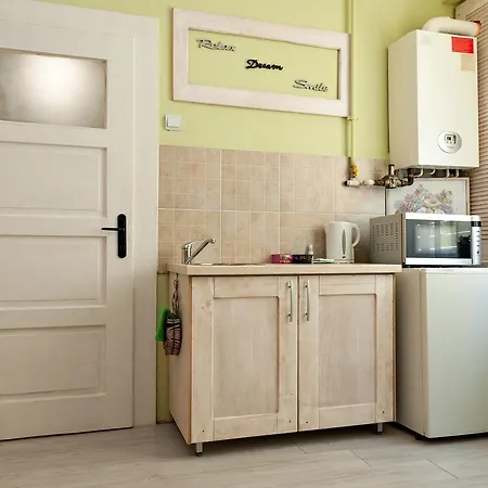 Apartment Studio Republicii 36 Brasov