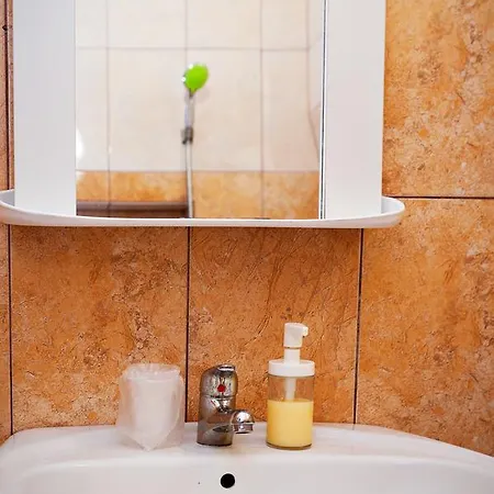 Apartment Studio Republicii 36 Brasov